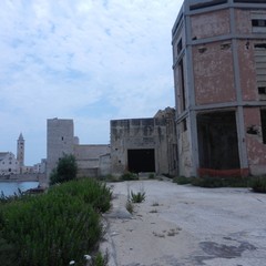 Ex distilleria Angelini