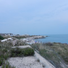 Ex distilleria Angelini