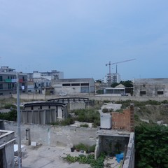 Ex distilleria Angelini