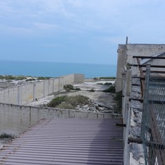 Ex distilleria Angelini