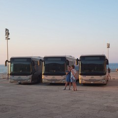 Inaugurazione nuovi bus Stp