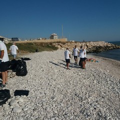 Amici del Mare