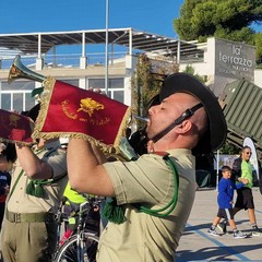 Farfara dellEsercito