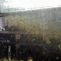 Acquario villa comunale