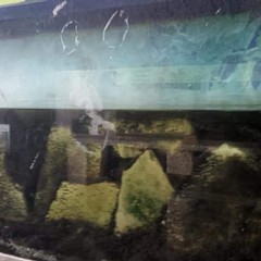 Acquario villa comunale