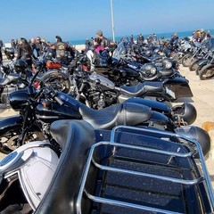 raduno moto Harley Davidson