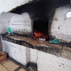 Forno franchino