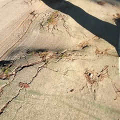 Pista ciclabile di Capirro - foto di Antonio Corraro