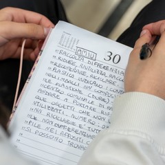 Festival Cinema e del Mare Trani AMBIENTE