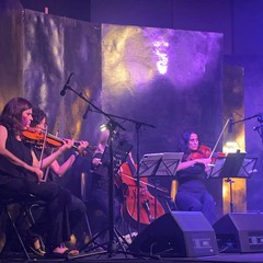 Festival del Giullare