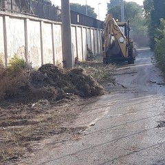 Interventi di bonifica Amiu