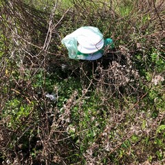 Rifiuti dopo la festa sul litorale Le Conche