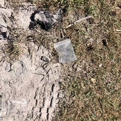 Rifiuti dopo la festa sul litorale Le Conche