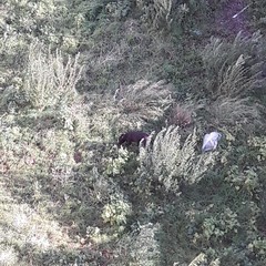Giardino di via Valdemaro Vecchi