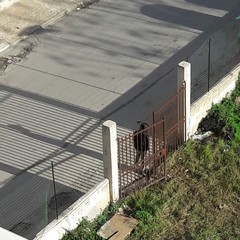 Giardino di via Valdemaro Vecchi