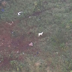 Giardino di via Valdemaro Vecchi