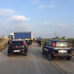 Ruba un camion e tenta la fuga, arrestato nelle campagne di Trani