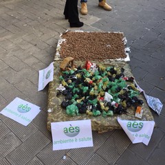 Discarica, i tranesi in pizza per chiedere bonifica e messa in sicurezza