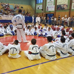 Taekwondo, esami di cintura