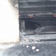 bomba carta davanti a pescheria di corso Regina Elena