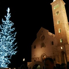 L'albero di Natale in piazza Duomo