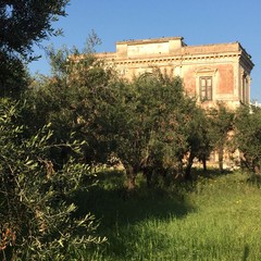 Trani, crolla parte di una villa antica in zona Stadio