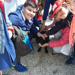 Studenti del De Amicis in visita al canile di Trani