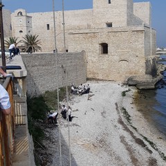 Gli amici del mare e Trani soccorso a lavoro