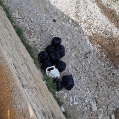 Gli amici del mare e Trani soccorso a lavoro