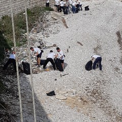 Gli amici del mare e Trani soccorso a lavoro
