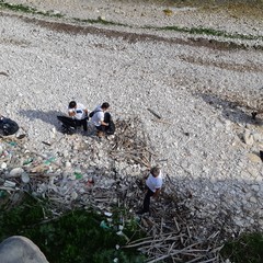 Gli amici del mare e Trani soccorso a lavoro