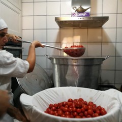 La salsa pugliese, alunni di Trani e Legambiente