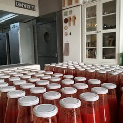 La salsa pugliese, alunni di Trani e Legambiente