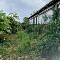 Tetto crollato alla Lampara