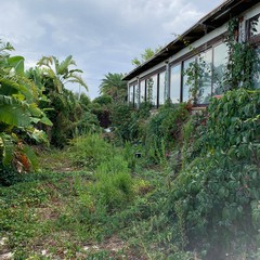 Tetto crollato alla Lampara