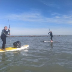 Pulizia spiaggia