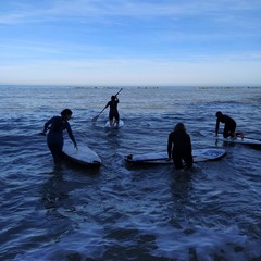 Pulizia spiaggia