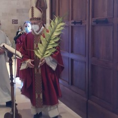 Domenica delle Palme