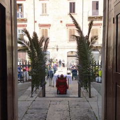 Domenica delle Palme