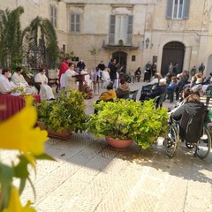 Domenica delle Palme