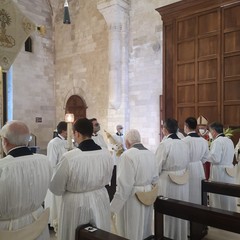 Domenica delle Palme