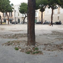 Piazza Gradenigo