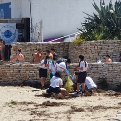 Pulizia spiagge e fondali a Trani