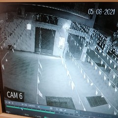 Distributore preservativi svaligiato