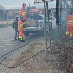 Incendio sulla provinciale Trani-Andria