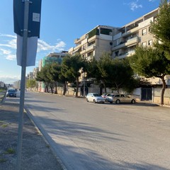 Alberi via Borsellino