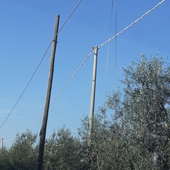 Cavi elettrici