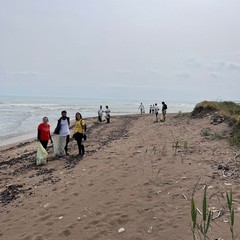 Raccolta rifiuti spiagge