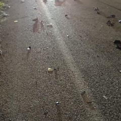 incidente Treni Corato