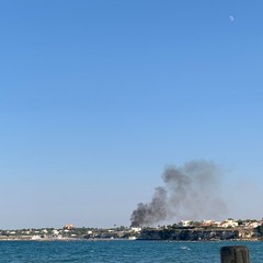 Incendio nelle campagne a sud di Trani